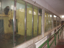 猿猴馆内馆 猿猴馆内馆