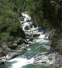 自然资源 自然资源